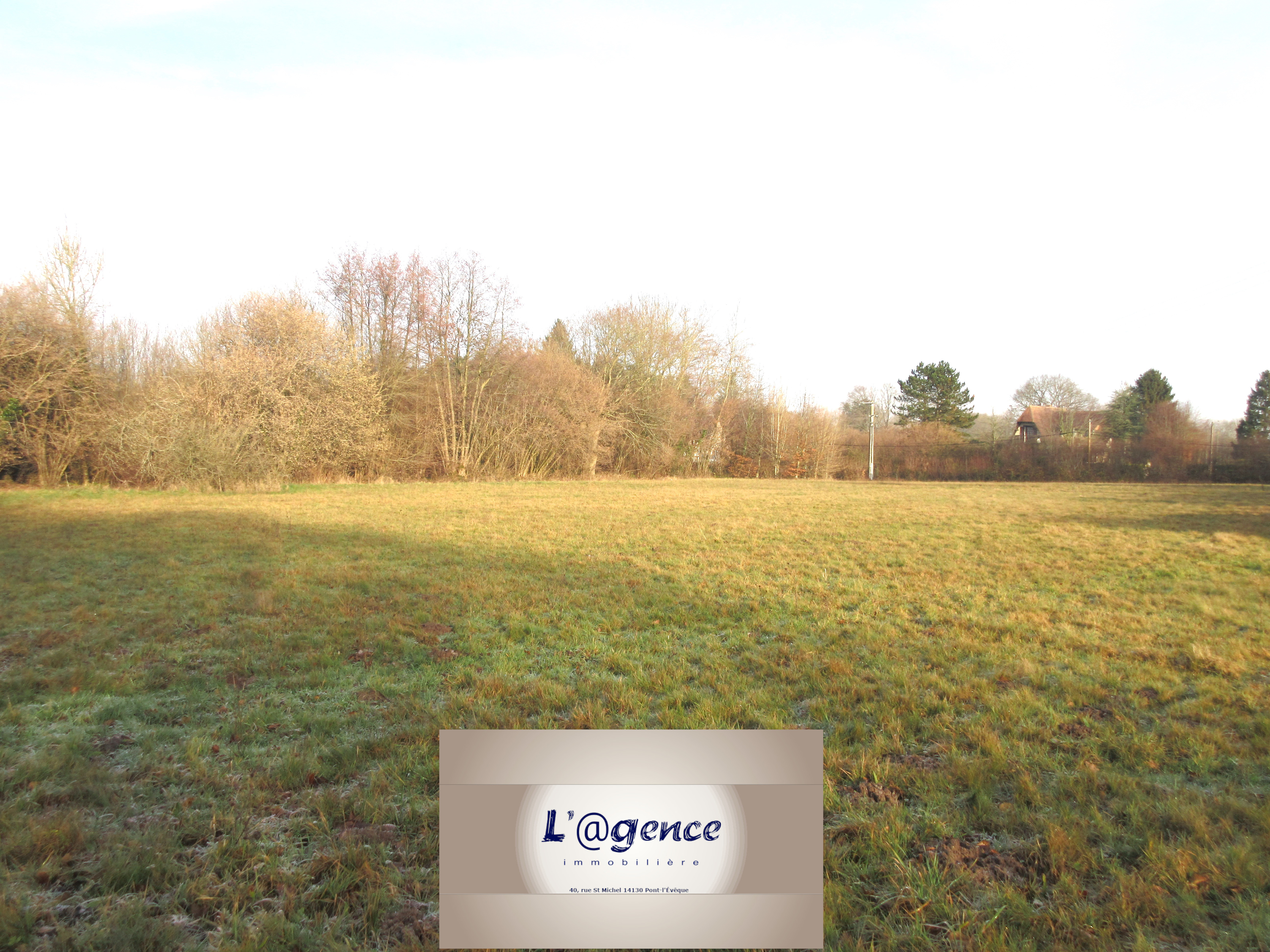 vente-terrain-constructible-d-environ-1-hectare